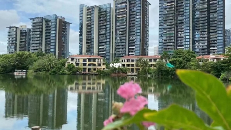 Fancy apartment joinery project in Shenzhen